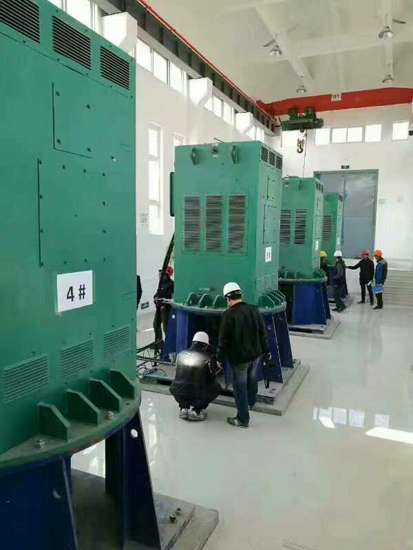 Y3551-2/220KW某污水处理厂使用我厂的立式高压电机安装现场