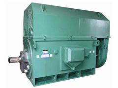 Y3551-2/220KWY系列6KV高压电机